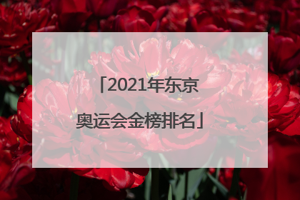 「2021年东京奥运会金榜排名」2021年东京奥运会金榜排名中国