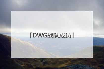 「DWG战队成员」DWG战队成员名单