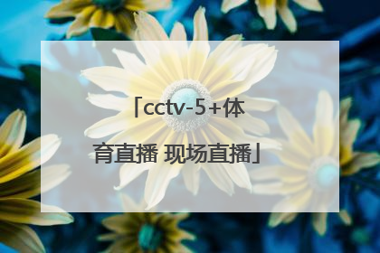 「cctv-5+体育直播 现场直播」cctv5体育直播现场直播粤运排位赛