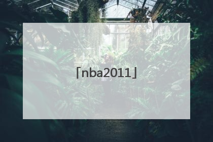 「nba2011」nba2011年总决赛