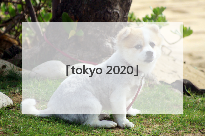 「tokyo 2020」tokyo 2020官网